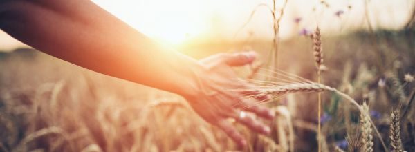 Hypnose Wiesbaden Daliah Immel Unterbewusstsein Mentale Gesundheit