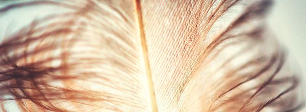 psychologische Beratung Coaching Wiesbaden Mentale Gesundheit Frauenposer Selbstliebe Selicare Daliah Immel Mainz Wiesbaden Frankfurt